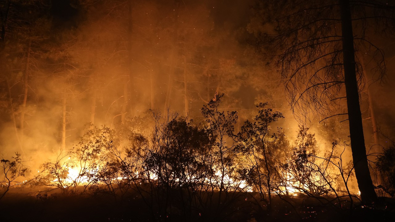 İstanbul'daki orman yangını söndürüldü