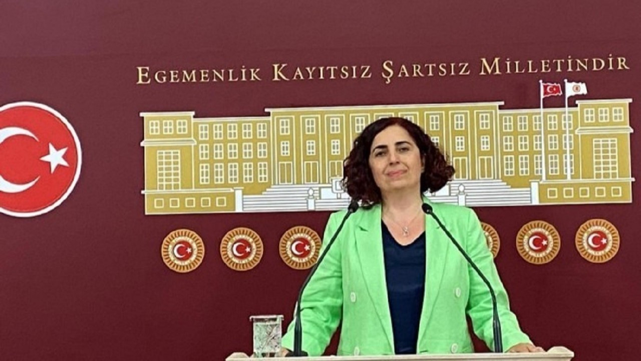 Sevilay Çelenk: Antalya'da 'Kanun Hükmü' ile ilgili alınan yanlış karardan derhal dönülmeli
