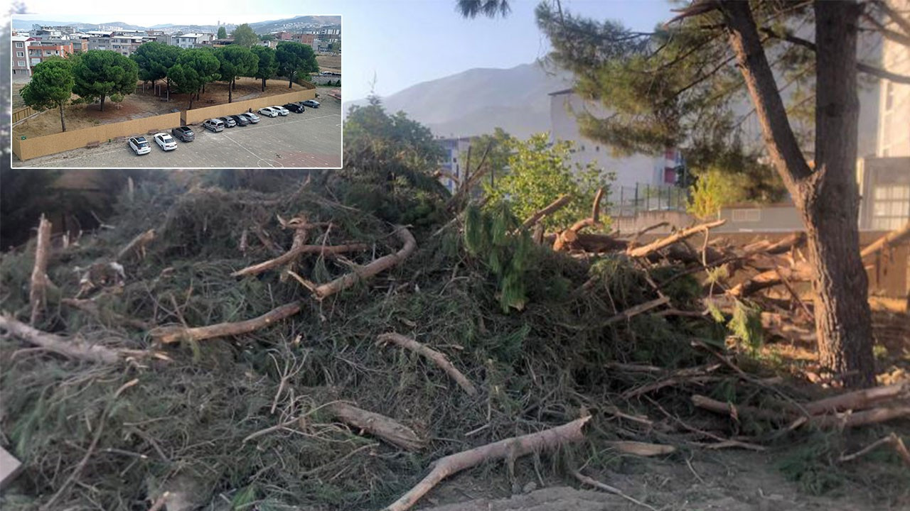 Bursa’da anaokulu yapmak için 40 yıllık ağaçları kestiler