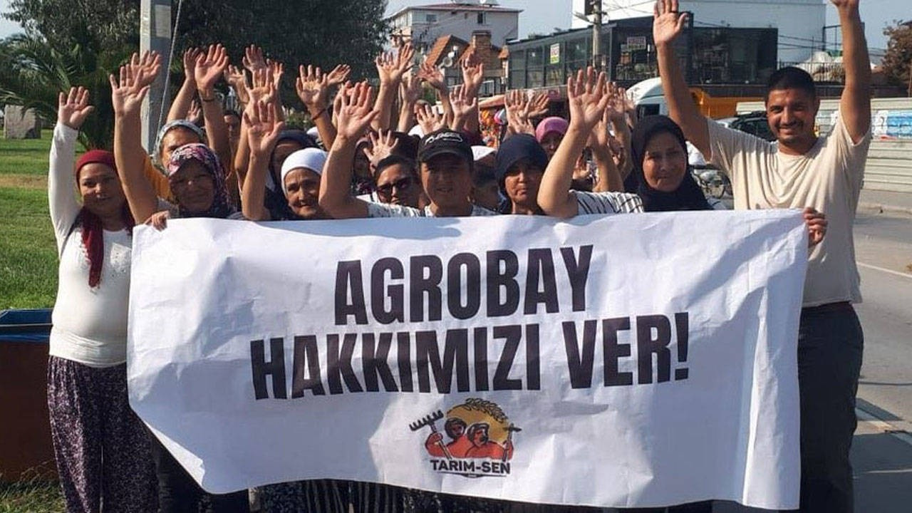 Agrobay'da direniş büyüyor: İstanbul ve Ankara'da açıklama yapılacak