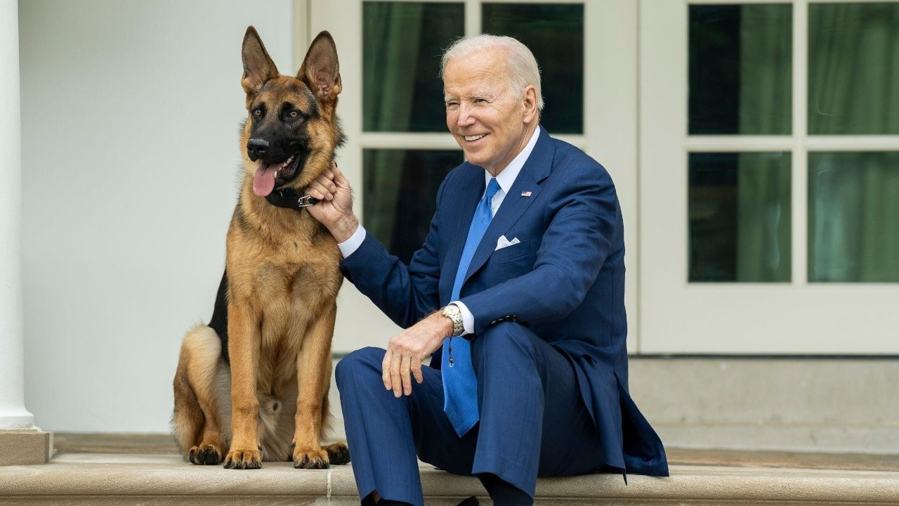 Gizli servis ajanını ısırmıştı: Biden'ın köpeği Beyaz Saray'dan uzaklaştırıldı