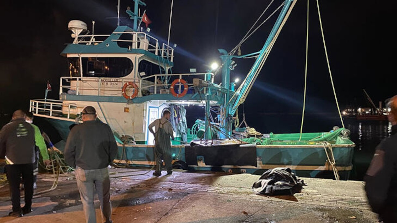Sinop'ta deniz suyu sıcaklığının düşmesiyle balık bolluğu başladı