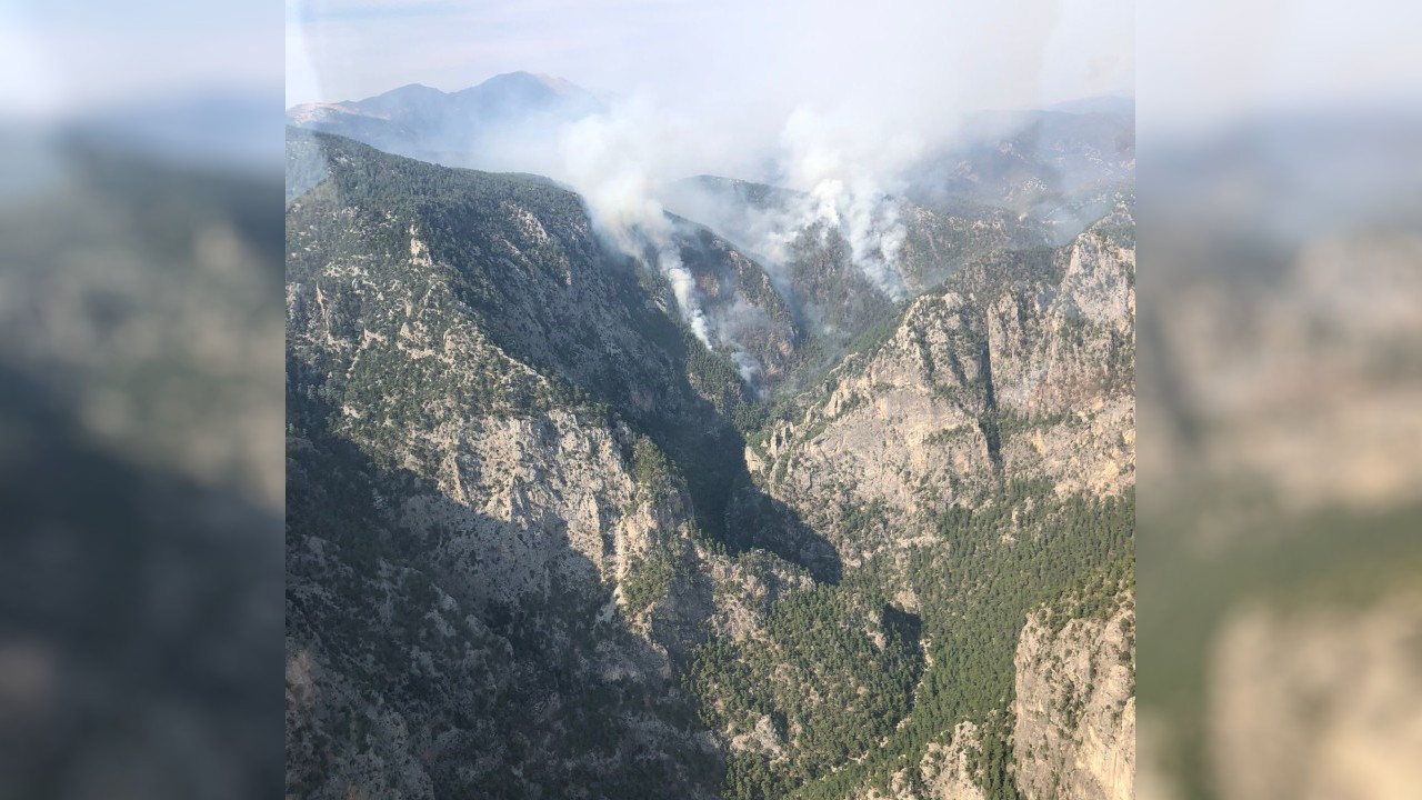 Karanlıkdere Kanyonu'nda orman yangını