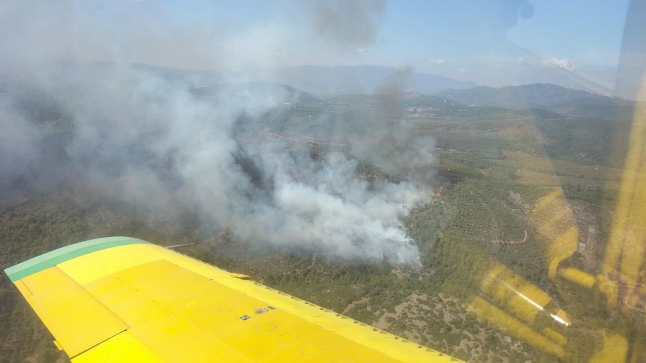 İzmir Bayındır'da orman yangını