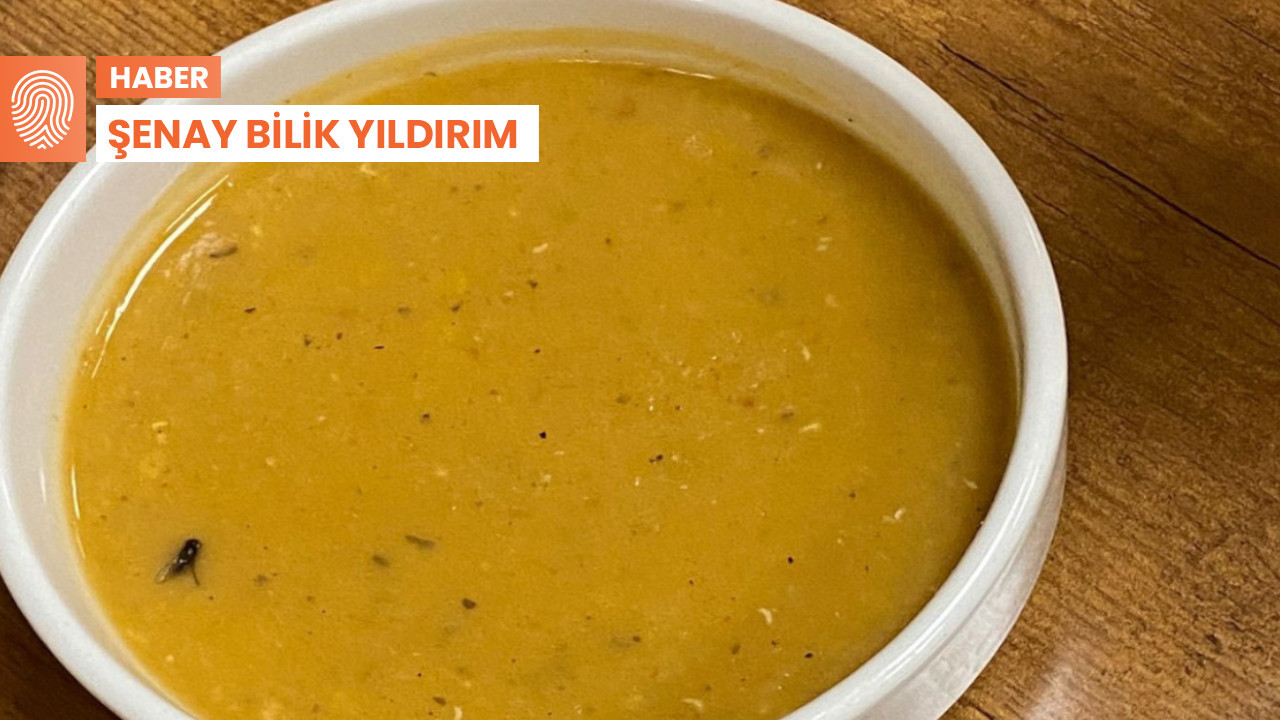 Eskişehir'de KYK yurdunda 'sinekli' yemek
