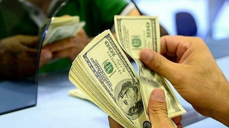 Dolar için yeni rapor: 2024'te ne olacak? - Sayfa 3