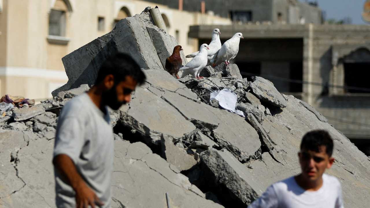 AB'den 'Gazze' açıklaması: Bu aşamada bir ateşkes çağrımız yok