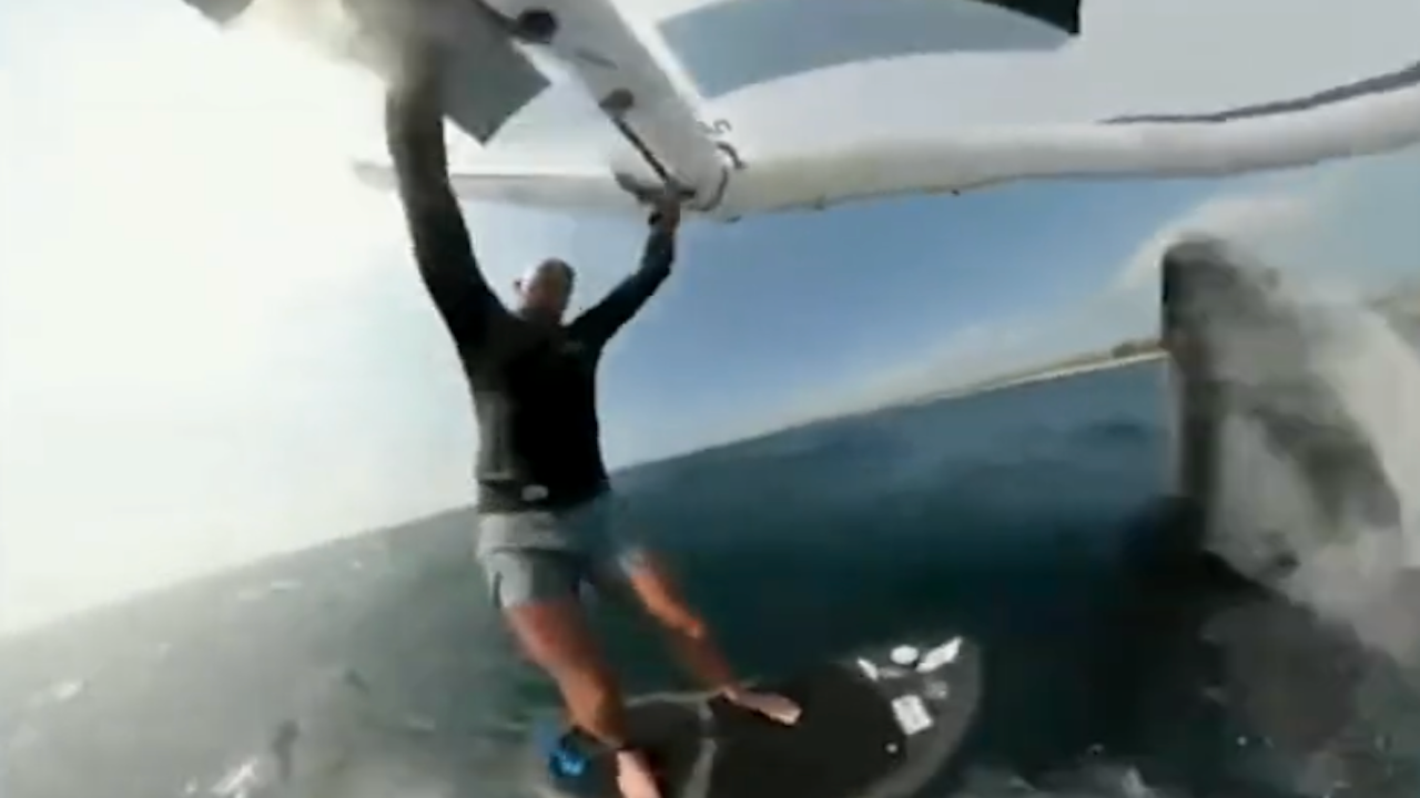 Uçurtma sörfü yaparken balina yavrusu çarptı