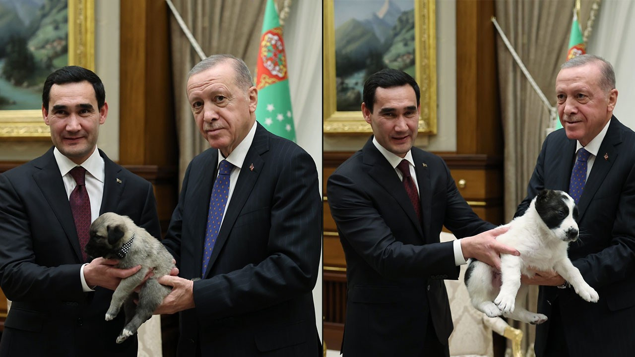 Erdoğan ve Berdimuhamedov birbirlerine köpek hediye etti