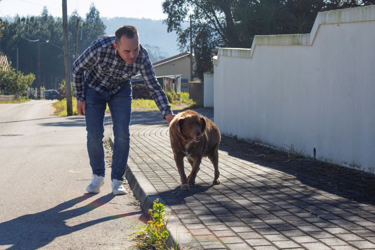 Dünyanın en uzun yaşayan köpeği Bobi'nin yaşı incelenecek - Sayfa 4
