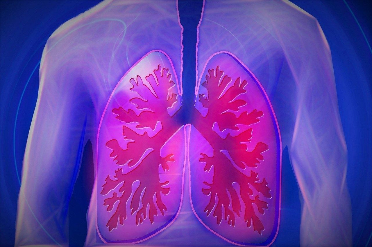 Akciğer kanserinin 10 önemli sinyali: İnatçı öksürük de alarm olabilir - Sayfa 1