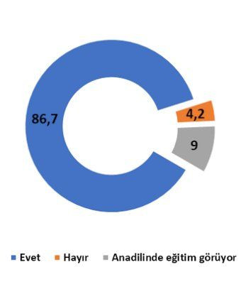 SAMER araştırdı: Kürtler anadilinde eğitim istiyor - Sayfa 4