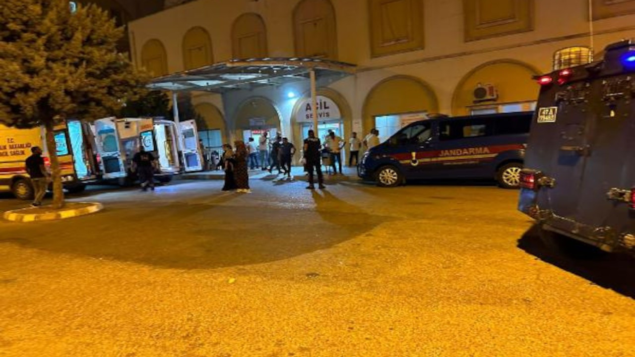 Mardin'de evde yaralı bulunan kadın öldü, bir polis gözaltına alındı