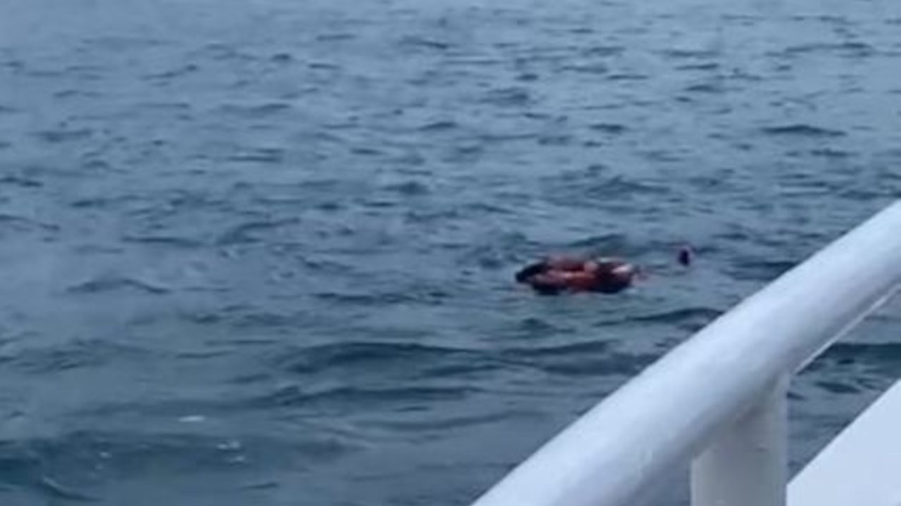 Kadıköy-Beşiktaş seferinde yolcu denize düştü