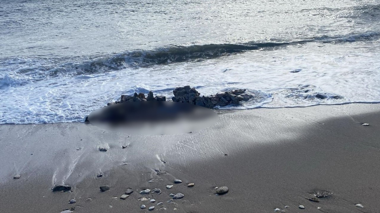 Bodrum'da sahilde ve denizde 2 ceset bulundu