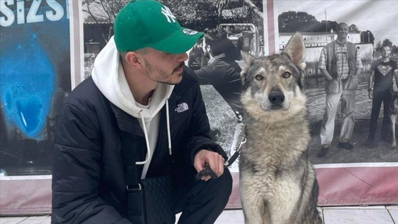 'Başakşehir'deki aç kurtlar' Çekoslovak köpeği çıktı