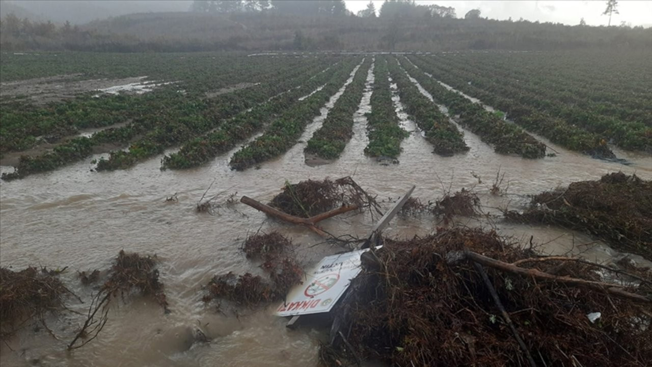 Şiddetli yağıştan 7 bin dönüme yakın tarım arazisi zarar gördü