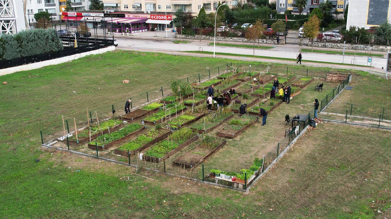 Nilüfer Belediyesi'nden 'mahallede tarım' projesi