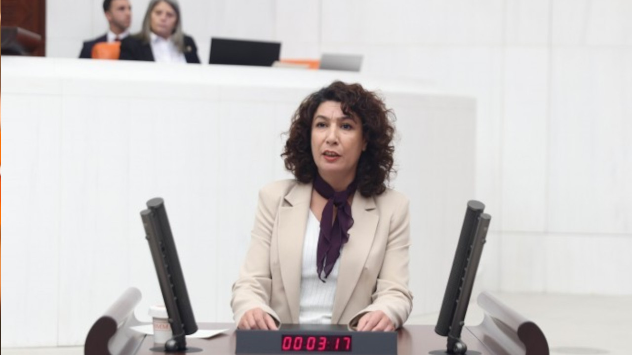 HEDEP Kadın Meclisi Sözcüsü Türkoğlu'nun yargılanması durduruldu