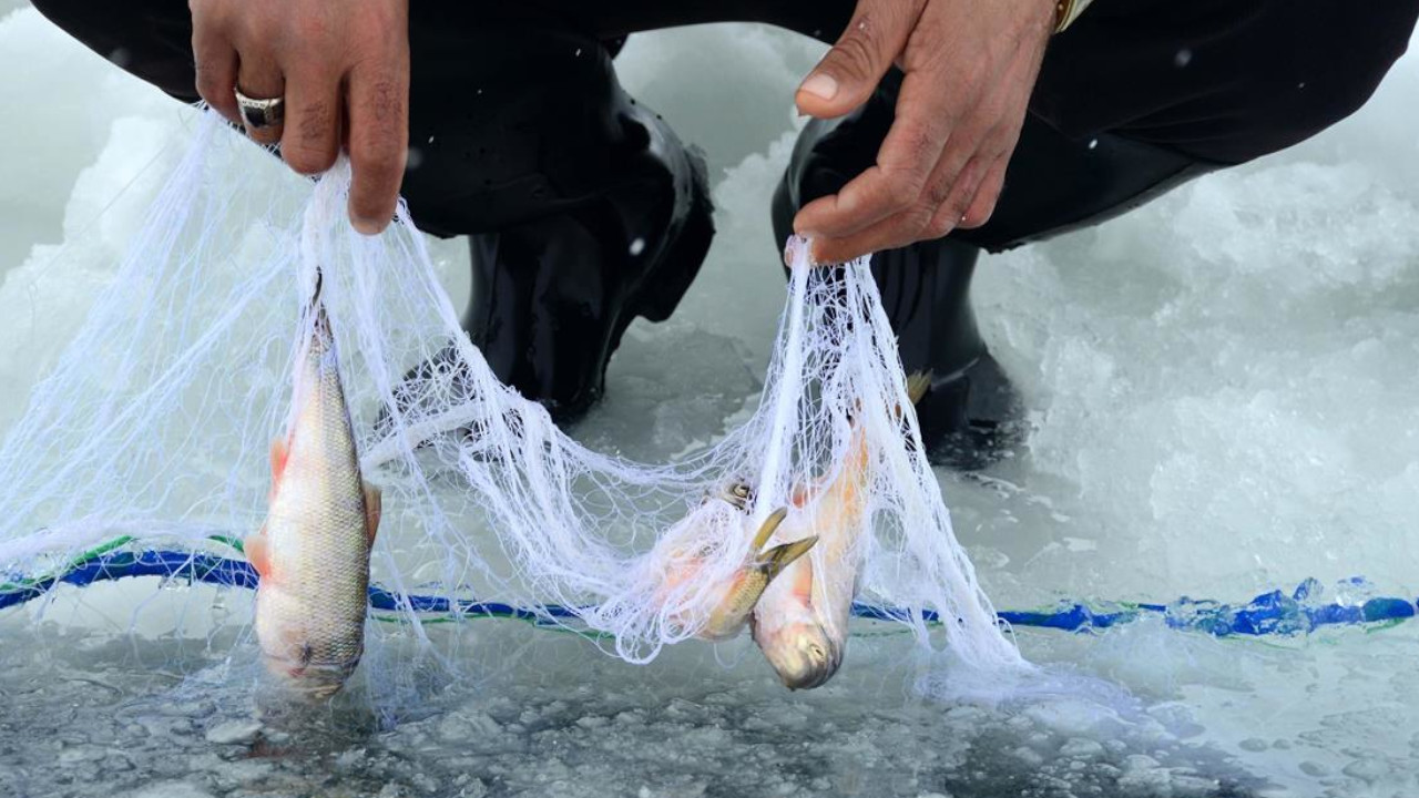 BM: Akdeniz ve Karadeniz'de av baskısı 10 yılda azaldı