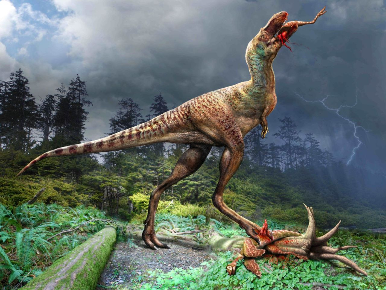 75 milyon yıllık dinozorun son yemeği midesinden tastamam çıktı - Sayfa 1