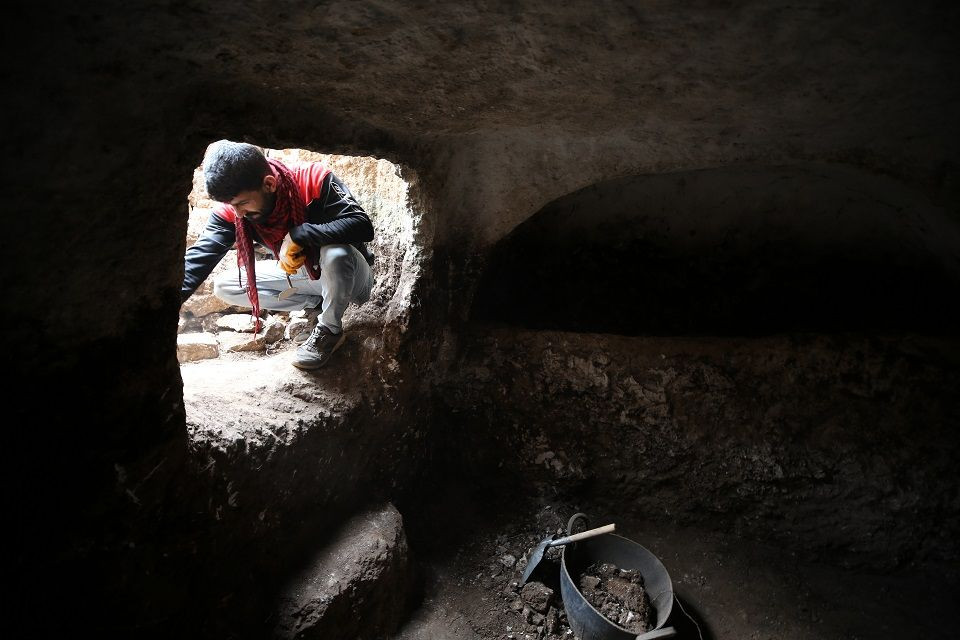 Mardin'deki kazılarda 1500 yıllık Anadolu leoparı kemikleri bulundu - Sayfa 4