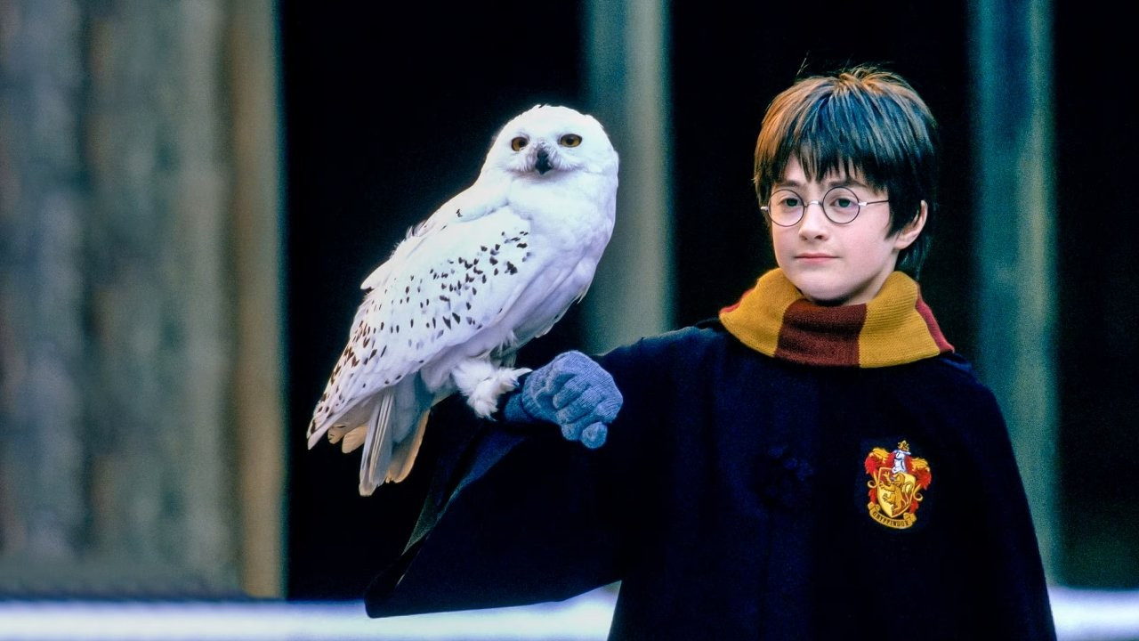 Harry Potter dizi oluyor: Senaristler çalışmaya başladı