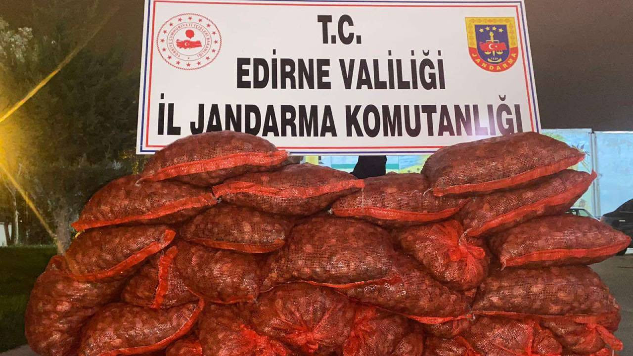 Edirne'de 600 kilogram kum midyesi ele geçirildi