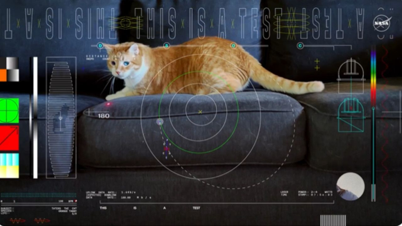 NASA, 31 milyon km uzaktan lazerle Dünya'ya kedi videosu gönderdi - Sayfa 1