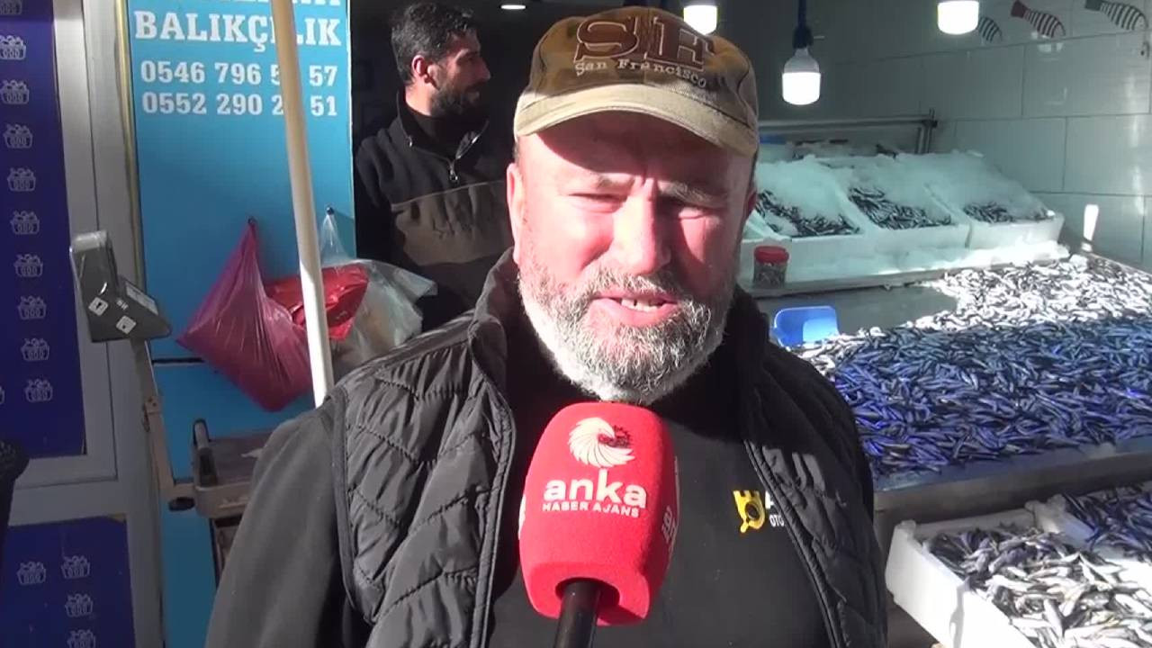 Sinoplu balıkçılar: Hamsi 50 TL'nin altına düştüğünde zarar ediyoruz