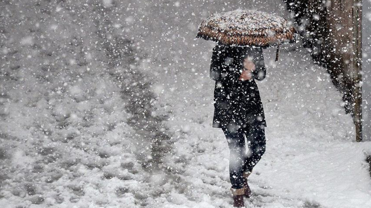 Kars, Erzincan ve Ardahan'da kar yağışı devam ediyor