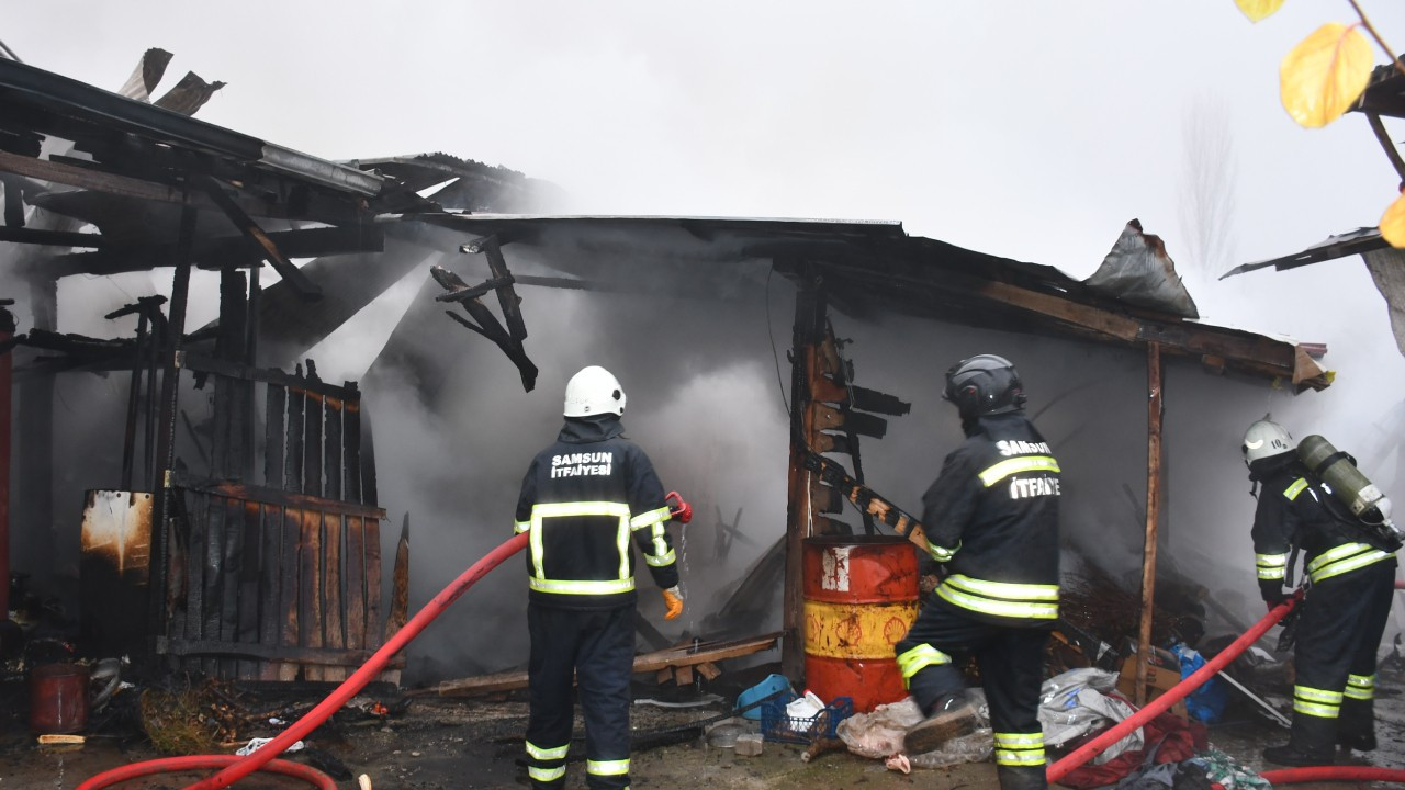 Samsun'da yangın: 7 büyükbaş hayvan öldü