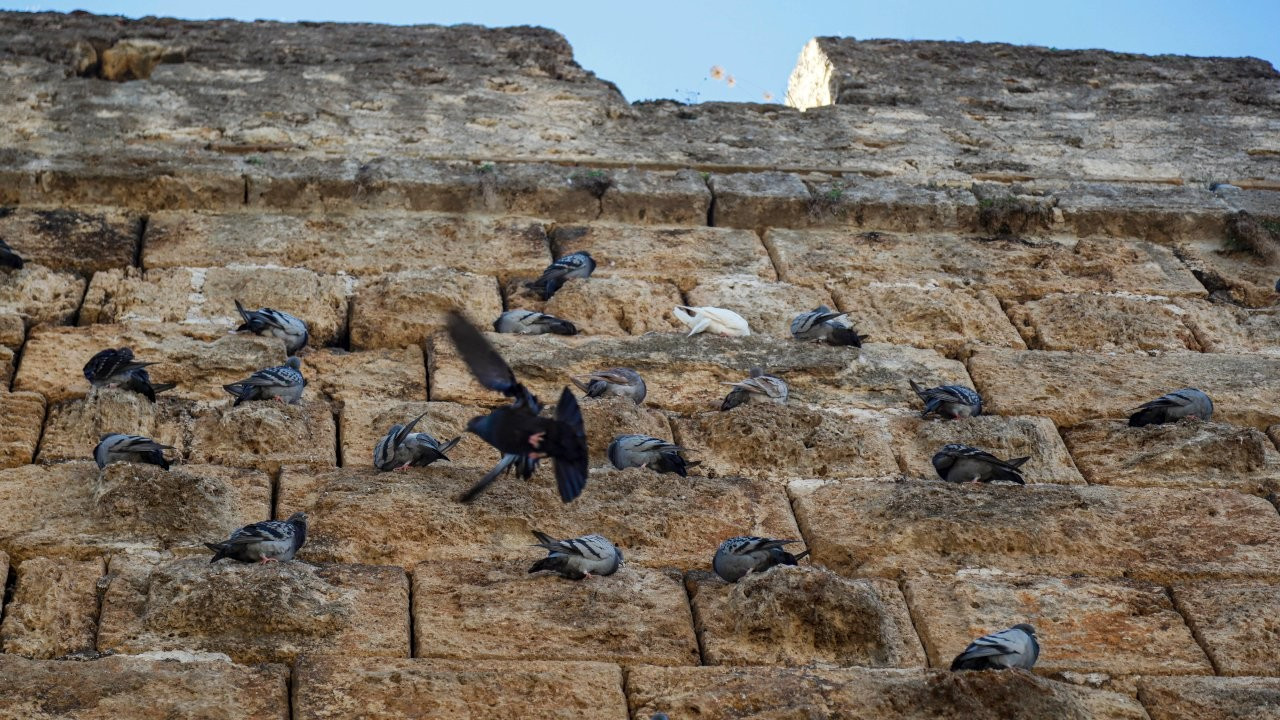 Güvercin dışkıları zarar verdi: Tarihi Üçkapılar restore edilecek