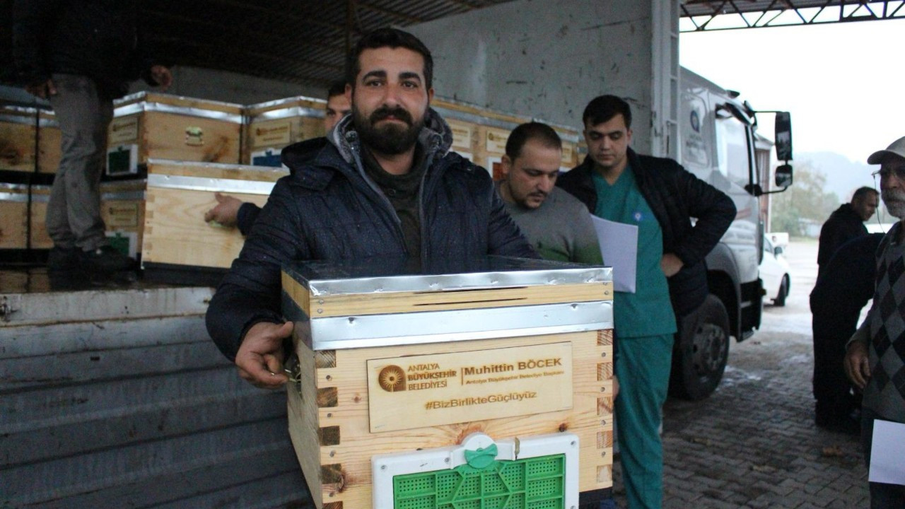 Antalya'da arı üreticilerine kovan desteği