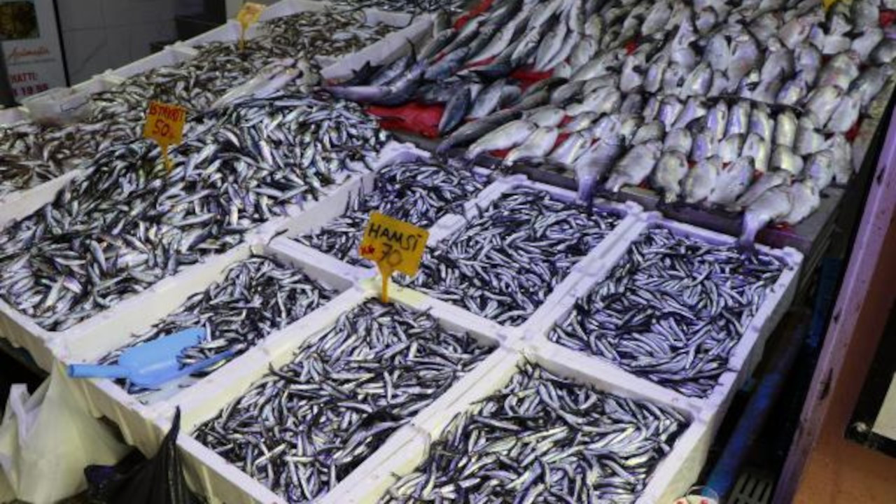 Samsun'da balıkçı esnafı 2023'ten memnun: Hamsiye doyduk