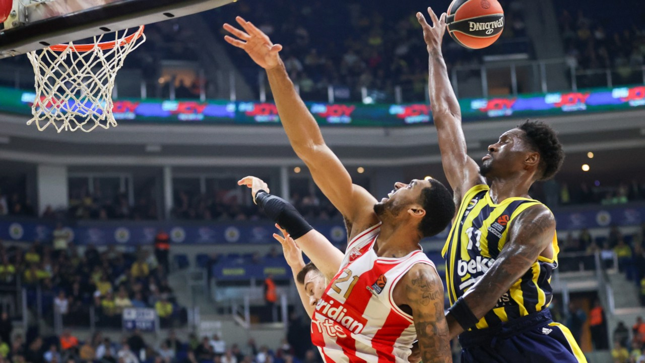 Fenerbahçe, galibiyet serisini evinde kaybetti