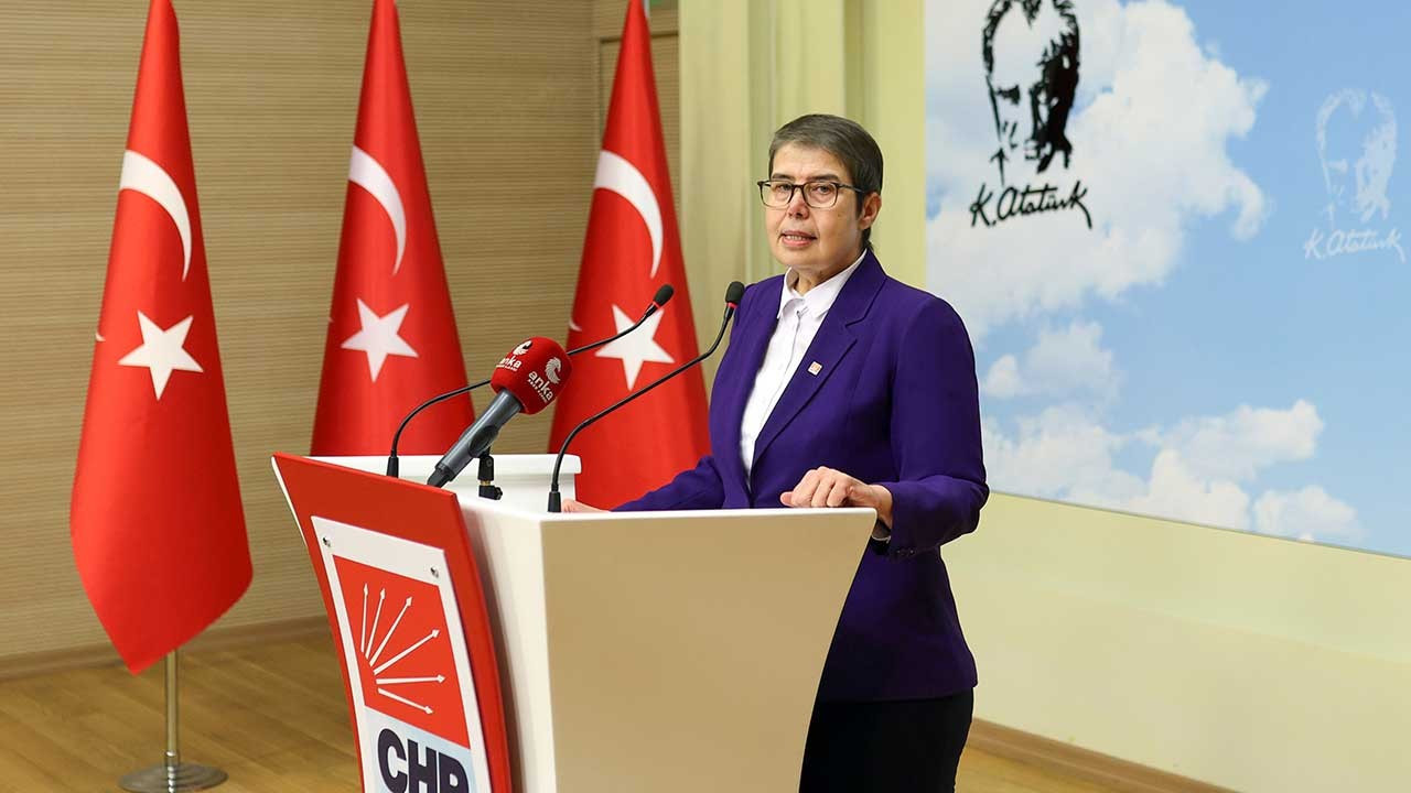 CHP'li Şahbaz: Kamu ve özel sektörde zorunlu engelli kotası artırılsın