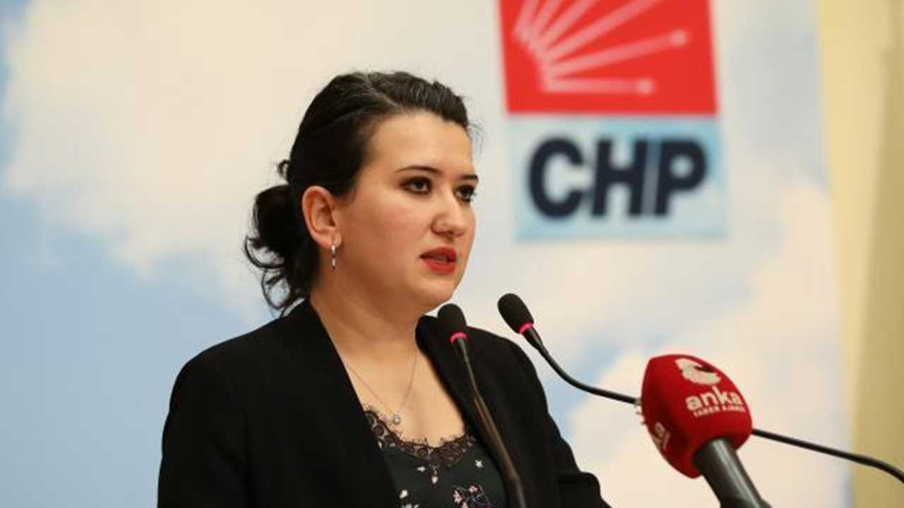 Gazeteci Seyhan Avşar'a soruşturma Meclis gündeminde