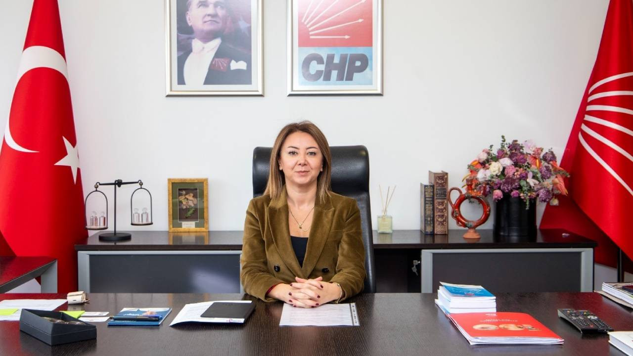 CHP'li Gül Çiftci Binici: Anayasamıza sahip çıkmak için Tandoğan'dayız