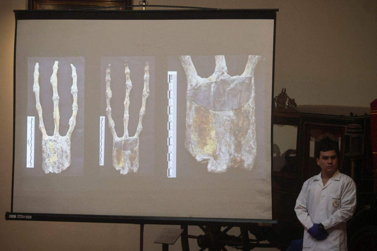 Önce Meksika, şimdi Peru: Bilim insanları 'uzaylı mumyaları' inceledi - Sayfa 2