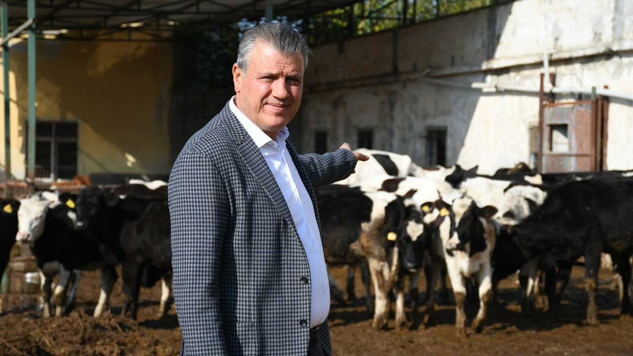 CHP'li Ayhan Barut: Süt krizi daha da derinleşiyor