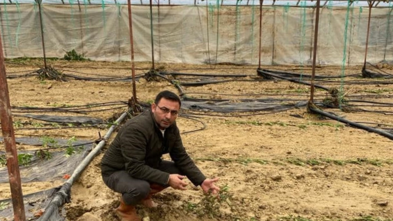 Alanya'da sağanak etkili oldu: 14 dönüm tarım alanı zarar gördü