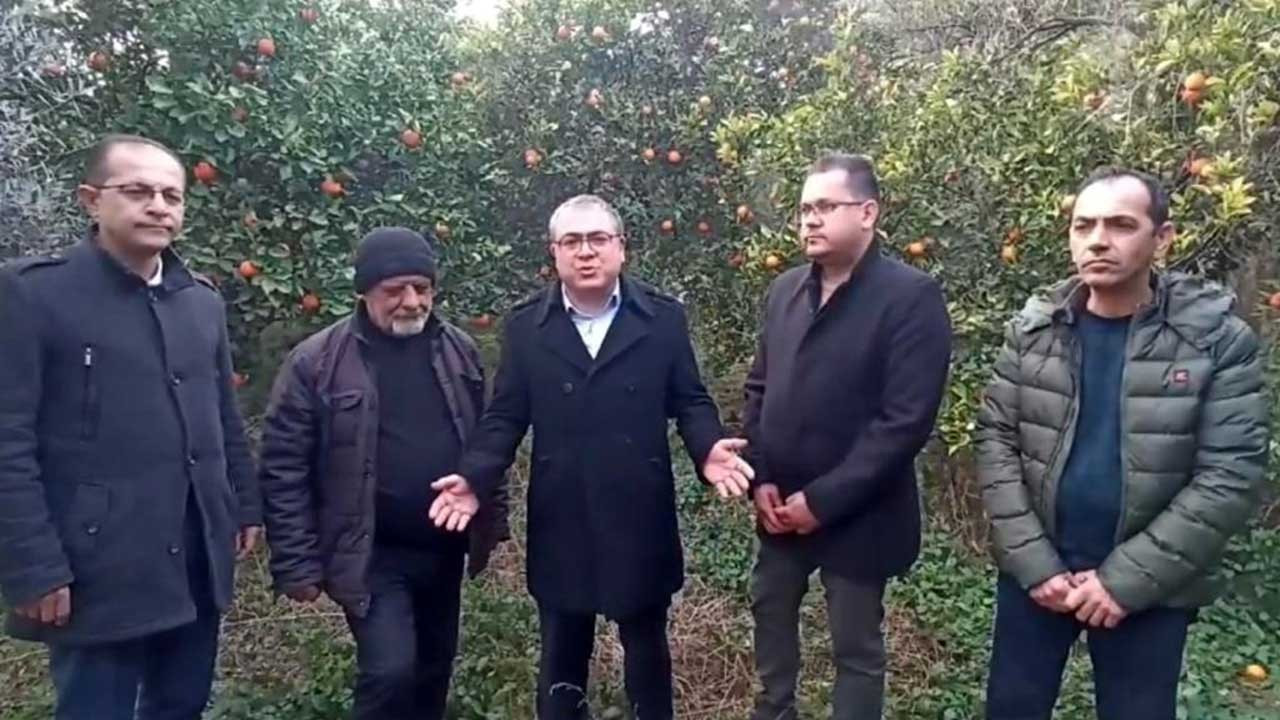 CHP’li Evrim Karakoz: 'Narenciye dalda kaldı, üretici ağaçlarını söküyor'