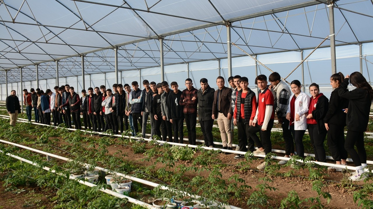 Hollanda Büyükelçiliği'nden gönderilen lale soğanları Şırnak'taki okulda dikildi