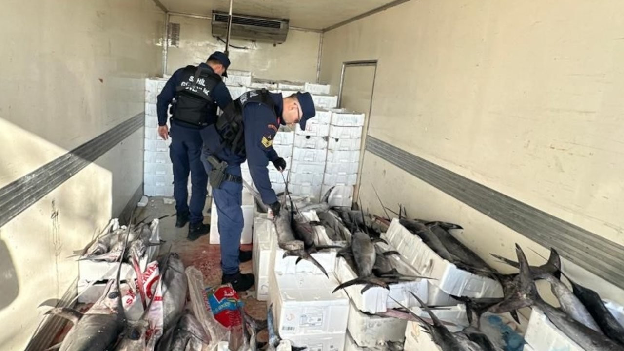 Balıkesir'de yasaklı tür balık taşıyan şüpheliye 36 bin 736 lira ceza