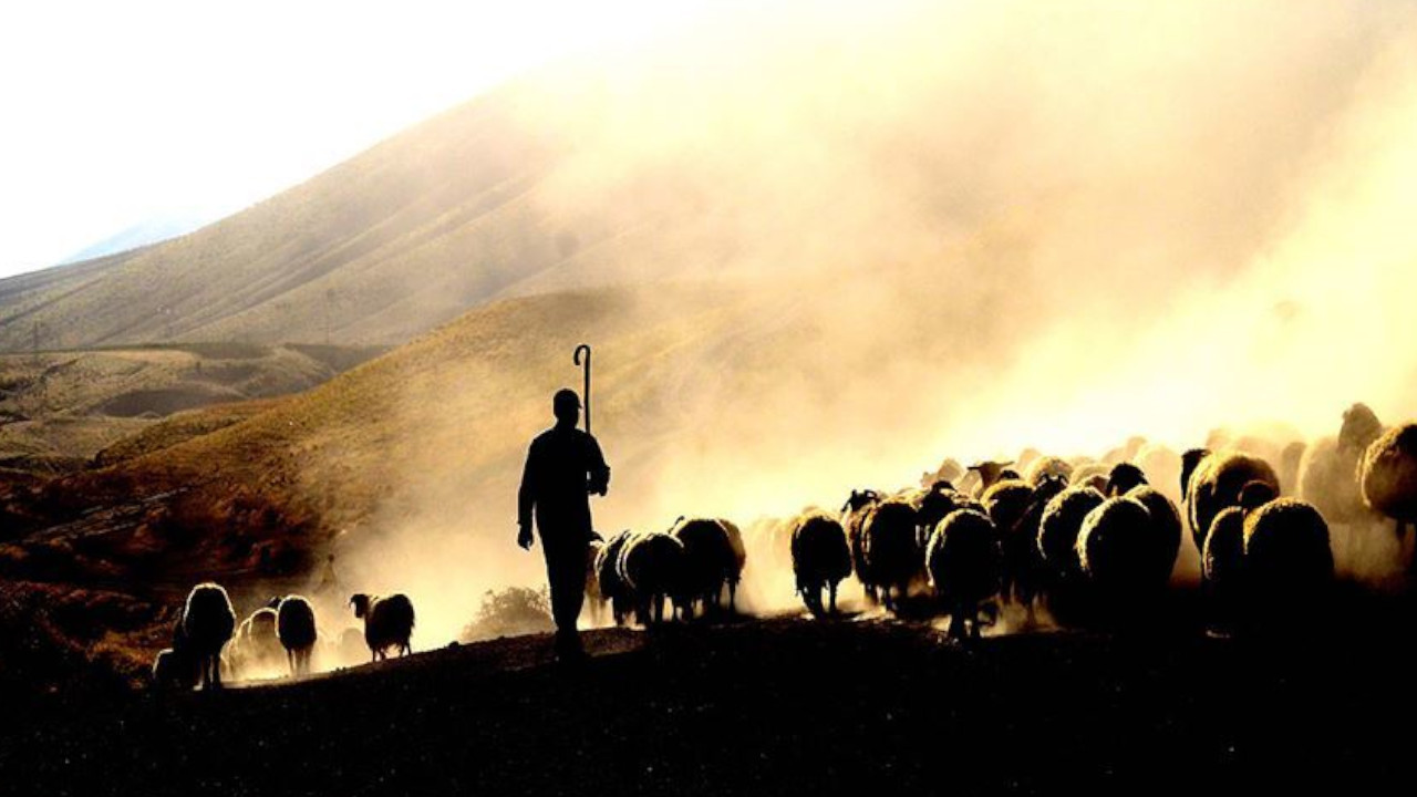 Kars'ta 112 hattını en çok telefon tamircileri ve çobanlar arıyor