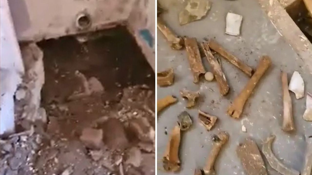 Banyo zemininin altında 20 kemik bulundu: 'Hiç böyle bir şey görmemiştim'