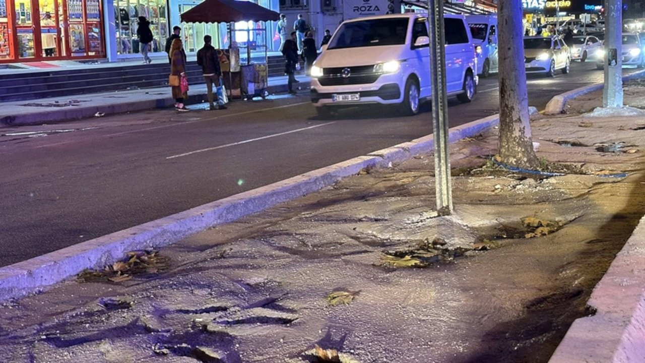 Diyarbakır’da ağaçlara beton döktüler 