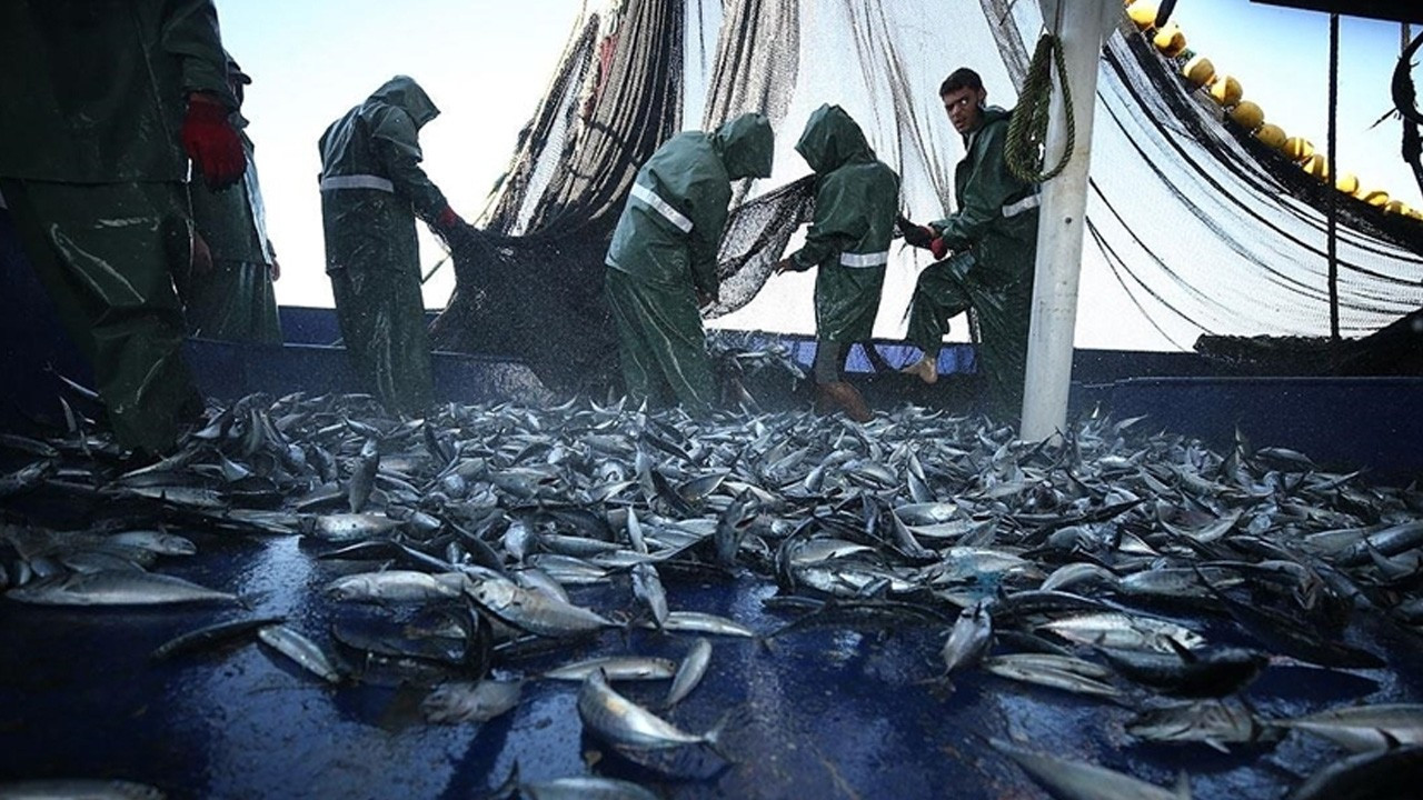 Tekirdağlı balıkçılar avlanmak için Karadeniz sularına açıldı