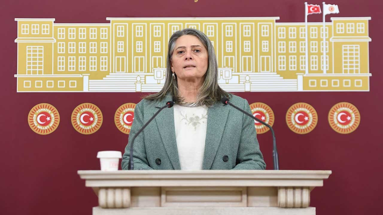 CHP'li Suiçmez, Hülya Şellavcı davasını Meclis gündemine taşıdı